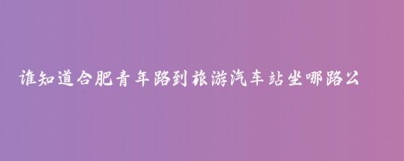 谁知道合肥青年路到旅游汽车站坐哪路公交车(合肥到旅游汽车站)