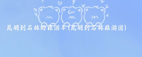 昆明到石林的旅游车(昆明到石林旅游团)