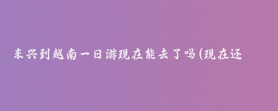 东兴到越南一日游现在能去了吗(现在还能去越南旅游吗)