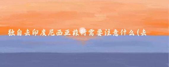 独自去印度尼西亚旅行需要注意什么(去印度尼西亚旅游)