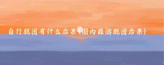 自行脱团有什么后果(国内旅游脱团后果)
