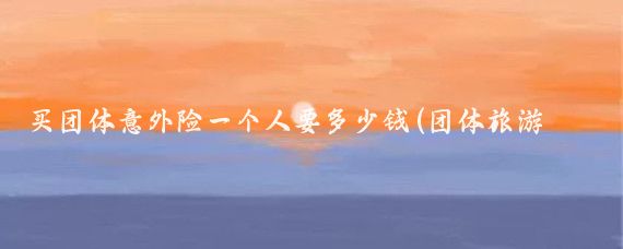 买团体意外险一个人要多少钱(团体旅游意外险多少钱)