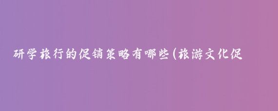 研学旅行的促销策略有哪些(旅游文化促销策略	)