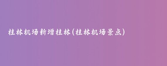 桂林机场新增桂林(桂林机场景点)