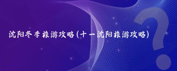 沈阳冬季旅游攻略(十一沈阳旅游攻略)