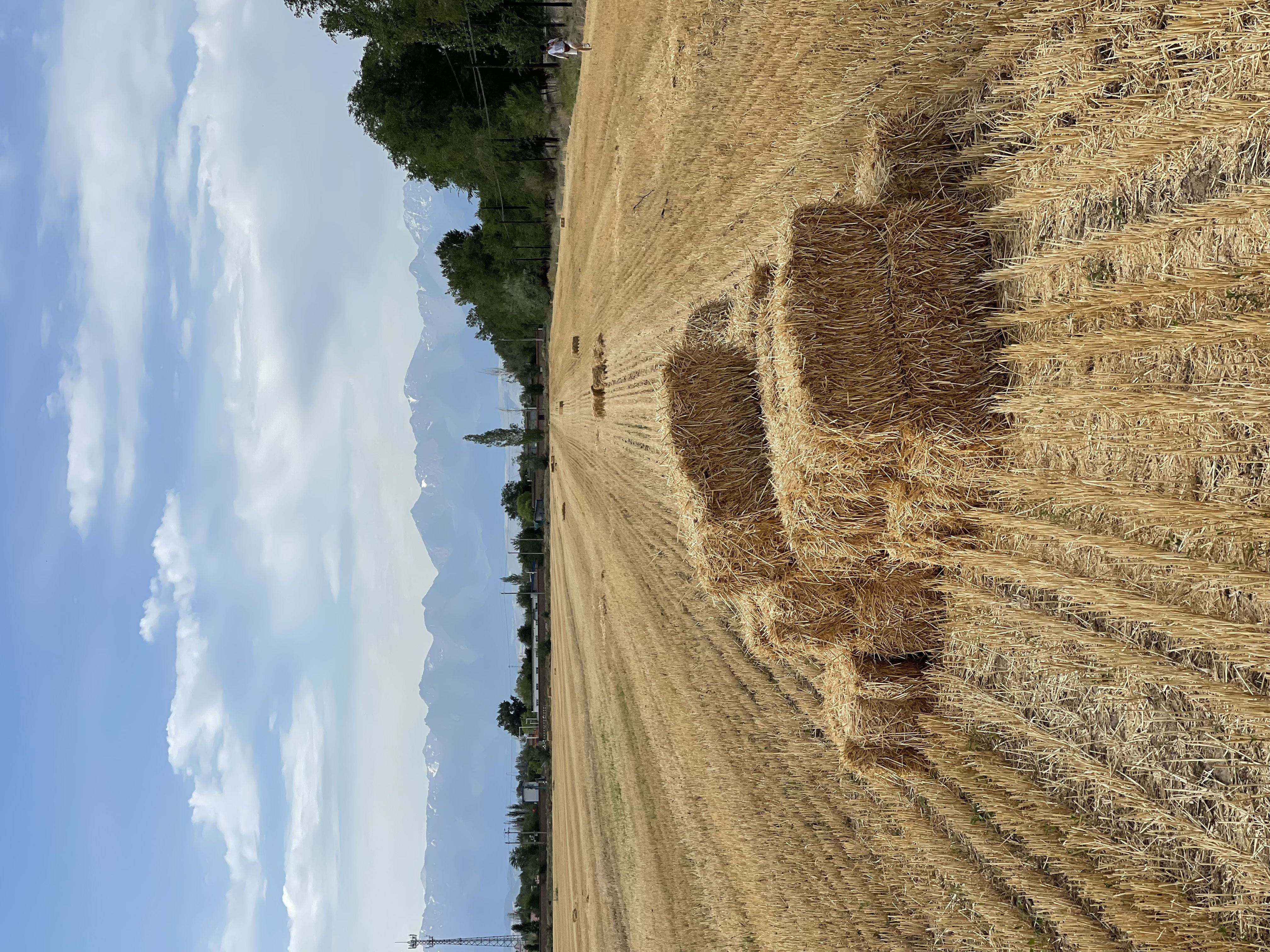 微风走吧网第三届（2021）环驾中国梦之旅D35行踪~