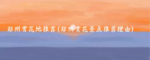 郑州赏花地推荐(郑州赏花景点推荐理由)